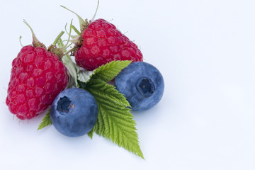 close-up of berries on a white background