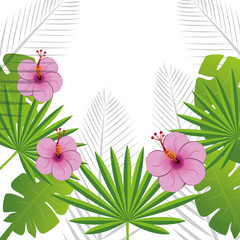 beautiful decoration floral background vector illustration design