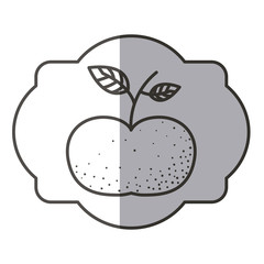 Tangerine fruit icon. Healthy organic and fresh food theme. Isolated design. Vector illustration