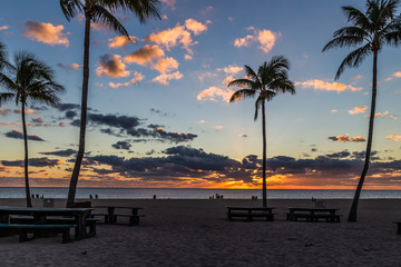 Fototapeta premium Palm trees and Dramatic sunrise/Palm trees silhouette on paradise sunset with beautiful clouds.