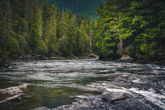 River rushing through a forest.