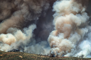 Dense White Smoke Rising from the Raging Wildfire