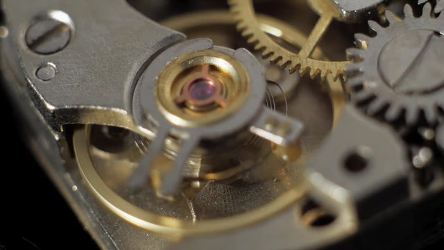 Watch mechanism, clockwork macro.