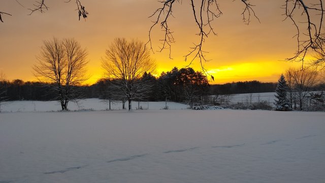 Fototapeta Yellow sunrise over Snow covered country on winter morning