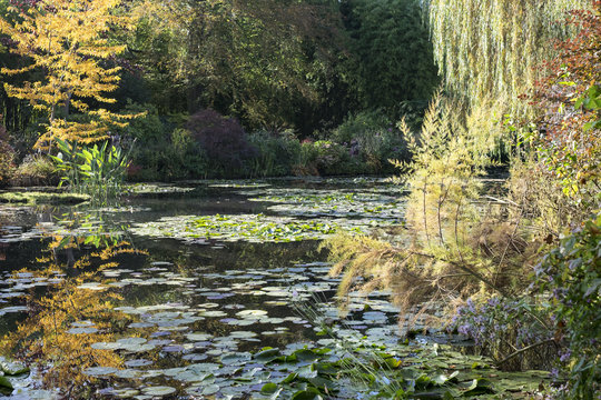 Bassin aux nymphéas (jardins de Claude Monet à Giverny)