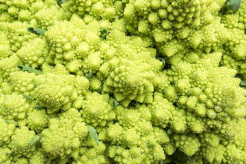 abstract full frame background with a romanesco cauliflower closeup