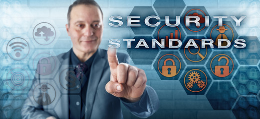 Smiling Administrator Touching SECURITY STANDARDS