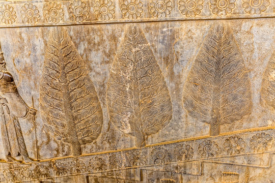 Wall Relief In Persepolis