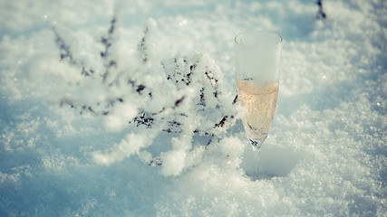 A glass of champagne in the snow on top of a mountain with snowy plant © viktoriia1974