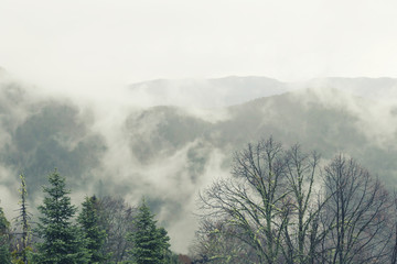 fog and cloud mountain under mist the morning