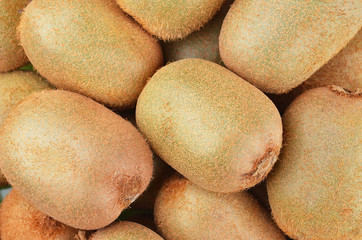 Green kiwi fruit (Actinidia deliciosa)