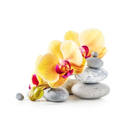 Fototapeta na wymiar Yellow orchid flowers and spa stones