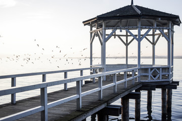 Gazebo and flock of birsds in the shore of Lake Constance