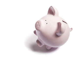 Piggy bank standing on two legs