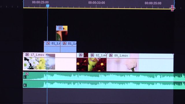 Video Editing Software