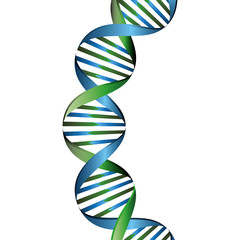 Molecular structure of DNA vector illustration design