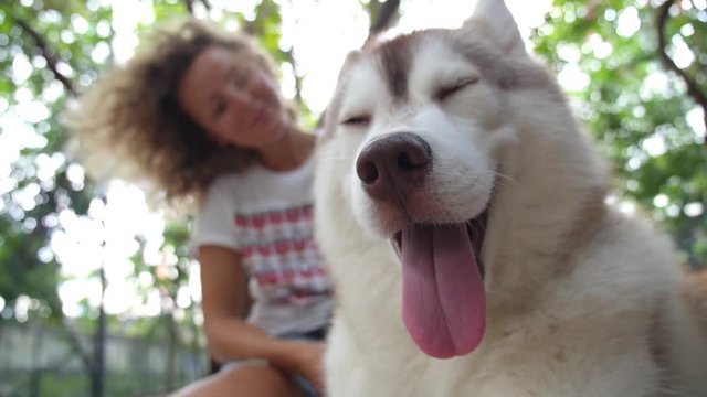 Woman with Smiling Husky Dog Outdoors
