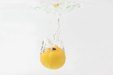 mandarin falls into the water