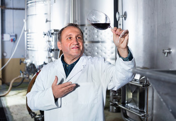 Fototapeta na wymiar Wine maker controls quality of wine