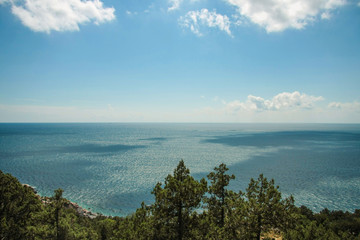 Obraz premium Sea view and tree peaks from the top