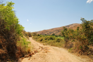 Dusty safari road in Madagascar