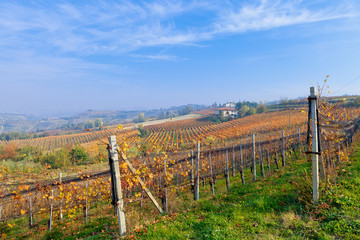 View on vineyards and small house on the hill in Piedmont, Italy