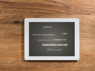 Seerosengew&auml;chse