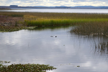 North Uruguay - Pond with ducks.