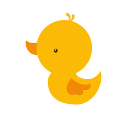 cute duck isolated icon vector illustration design