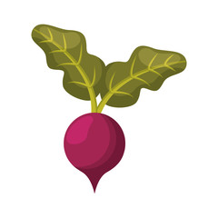 vegetarian product healthy food vector illustration design