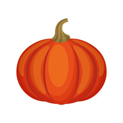 vegetarian product healthy food vector illustration design