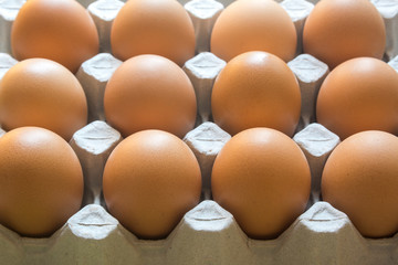 close up eggs from chicken in the package
