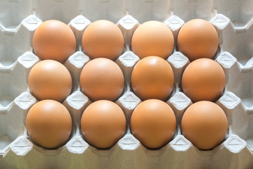 close up eggs from chicken in the package