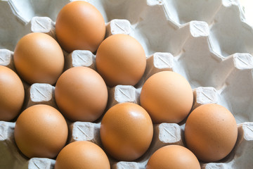 close up eggs from chicken in the package