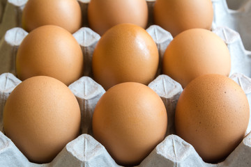 close up eggs from chicken in the package