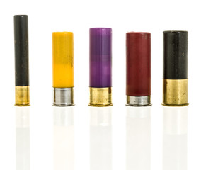 Different shotgun calibers