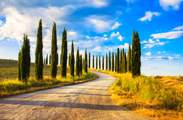 Fototapeta premium Tuscany, Cyprysowych drzew biały drogowy wiejski krajobraz, Włochy, Europa