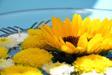 Sunflower Floating in Bowl of Water with Candle