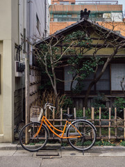 Orange Bike