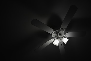 Low-key photo of imperfect light bulbs.