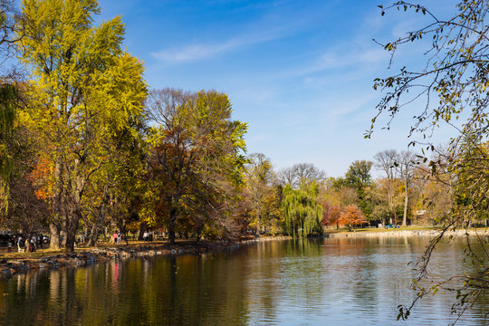 City Park Pond in Autumn