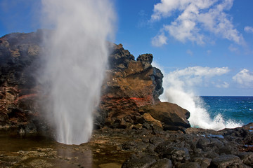 Blowhole