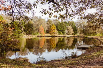 Pond in a wooded area in Missouri 