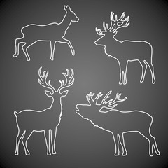 Hirsch Hirsche Rotwild Geweih Set Vektor Umriss Silhouette - Tafel Vektor gezeichnet 