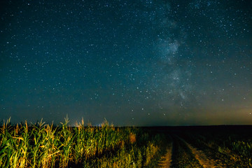 Starry sky over country road