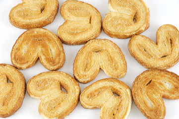 palmiers isolated on white background
