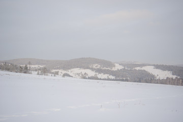 Fototapeta na wymiar Beautiful scenery of a winter forest.