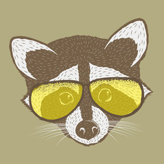 Raccoon vector illustration
