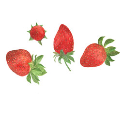 Watercolor painting red strawberry set