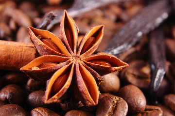 Closeup of anise, vanilla, cinnamon sticks and coffee grains, ingredients for cooking or baking